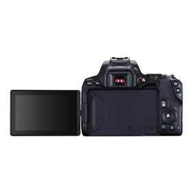 Canon EOS 250D Body - Black