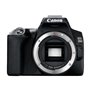 Canon EOS 250D Body - Black