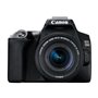 Canon EOS 250D 18-55mm IS STM - Black