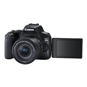 Canon EOS 250D 18-55mm IS STM + 50mm - Black