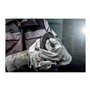 Metabo WEV 15-125