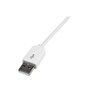 StarTech.com Apple Dock Connector zu USB Kabel für iPod / iPhone / iPad