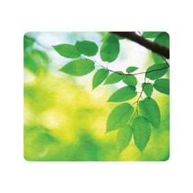 Fellowes Recycled Mouse Pad Leaves