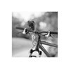 CELLY FLEXBIKEXXXL - bike holder
