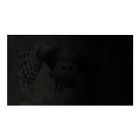 Natec OWL notebook privacy filter