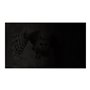 Natec OWL notebook privacy filter