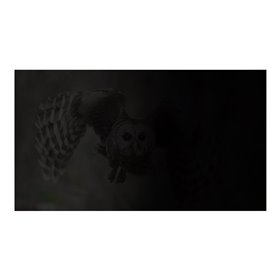 Natec OWL notebook privacy filter