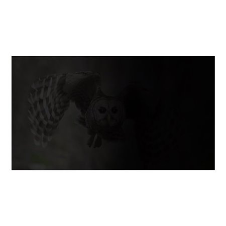 Natec OWL notebook privacy filter