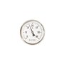 Erik Færgemann Thermometer ø63 12 x 100 mm 0-120° c without thermowell