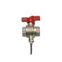 Pettinaroli F x f fullway ball valve with sensor connection red butter