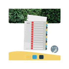 Leitz Cosy PC-beschriftbares Register 1-12, PP