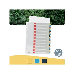 Leitz Cosy PC-beschriftbares Register 1-20, PP
