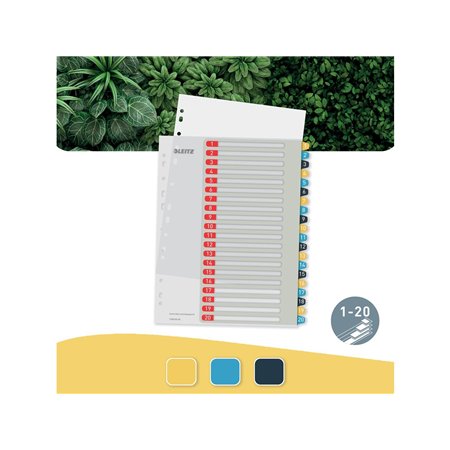 Leitz Cosy PC-beschriftbares Register 1-20, PP