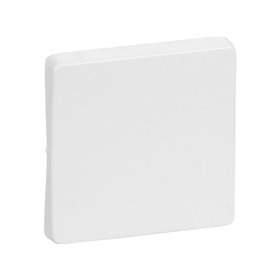 Vanpee & Westerberg Push button for enocean