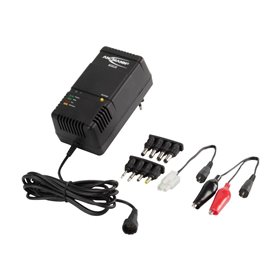 ANSMANN ACS110