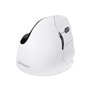 Evoluent VerticalMouse 4 Right - VM4RB - Vertical mouse (Weiß)