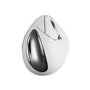 Evoluent VerticalMouse 4 Right - VM4RB - Vertical mouse (Weiß)