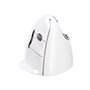 Evoluent VerticalMouse 4 Right - VM4RB - Vertical mouse (Weiß)