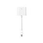 Apple Mini DisplayPort zu DVI-Adapter
