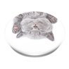 PopSockets Swappable PopGrip - finger grip/kickstand for mobile phone