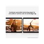 Samsung Galaxy Tab S8 Plus 128GB - Graphite
