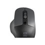 Natec Blackbird 2 - mouse - 2.4 GHz - black - Maus (Schwarz)