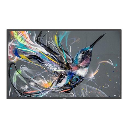 Philips 43BDL3511Q Q-Line - 43" Class (42.5" viewable) LED-backlit LCD display - 4K - for digital signage