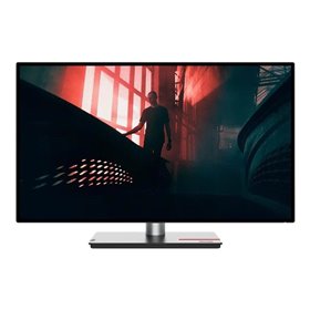 27" Lenovo ThinkVision P27q-30 - 2560x1440 - IPS - USB HUB