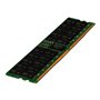 Hewlett Packard Enterprise E SmartMemory - DDR5 - module - 64 GB - DIMM 288-pin - 4800 MHz / PC5-38400 - registered