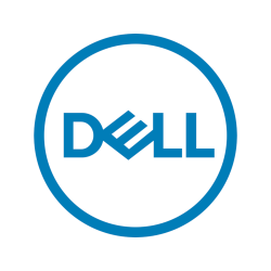Dell - SSD - 1 TB - PCIe 4.0 x4 (NVMe)