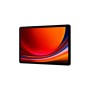 Samsung Galaxy Tab S9 256GB/12GB - Graphite