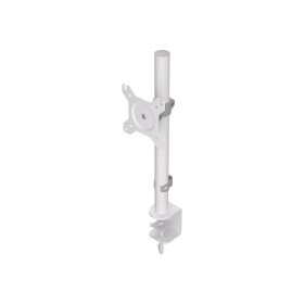 ENDORFY Atlas Single - stand - for LCD display - white