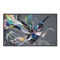 Philips 43BDL3650Q Q-Line - 43" Class (42.5" viewable) LED-backlit LCD display - 4K - for digital signage