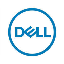 Dell - Customer Kit - SSD - Read Intensive - 1.92 TB - with carrier - SAS