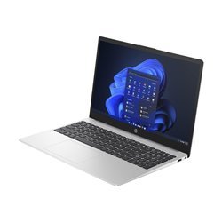 HP 255 G10 Notebook