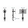 Gembird Monitor Arm - Desk arm 1-display 17"-32"