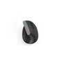 DeLUX Wireless Vertical Mouse Delux M618C 2.4G 1600DPI RGB (white) - Vertical mouse (Weiß)
