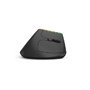 DeLUX Wireless Vertical Mouse Delux M618C 2.4G 1600DPI RGB (white) - Vertical mouse (Weiß)