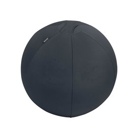 Leitz Ergo Active Sitzball mit Anti-Wegroll-Design, 55cm Dunkelgrau Ball chair - Stoffbezug - Bis zu 120 kg