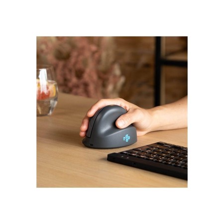 R-Go Tools R-Go HE Basic - Vertical mouse (Schwarz)
