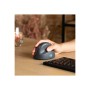 R-Go Tools R-Go HE Basic - Vertical mouse (Schwarz)