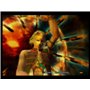 Final Fantasy XII - Sony PlayStation 2 - RPG - PEGI 16