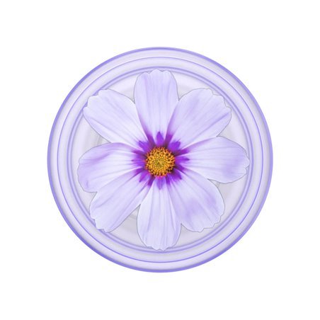 PopSockets PopGrip Plant Purple Cosmo