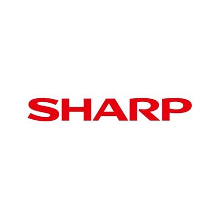 Sharp Toner BPGT30BA BP-GT30 Black - Toner cartridge / paper kit Schwarz