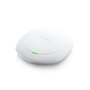 ZyXEL WAC6303D-S