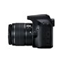 Canon EOS 2000D 18-55mm IS II + EF 75-300mm III