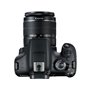 Canon EOS 2000D 18-55mm IS II + EF 75-300mm III