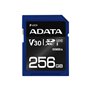 A-Data ADATA Premier Pro