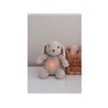 Cloud B Love Light Buddies - Billy Bunny