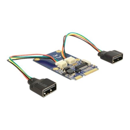 DeLOCK MiniPCIe I/O PCIe full size 2 x USB 2.0